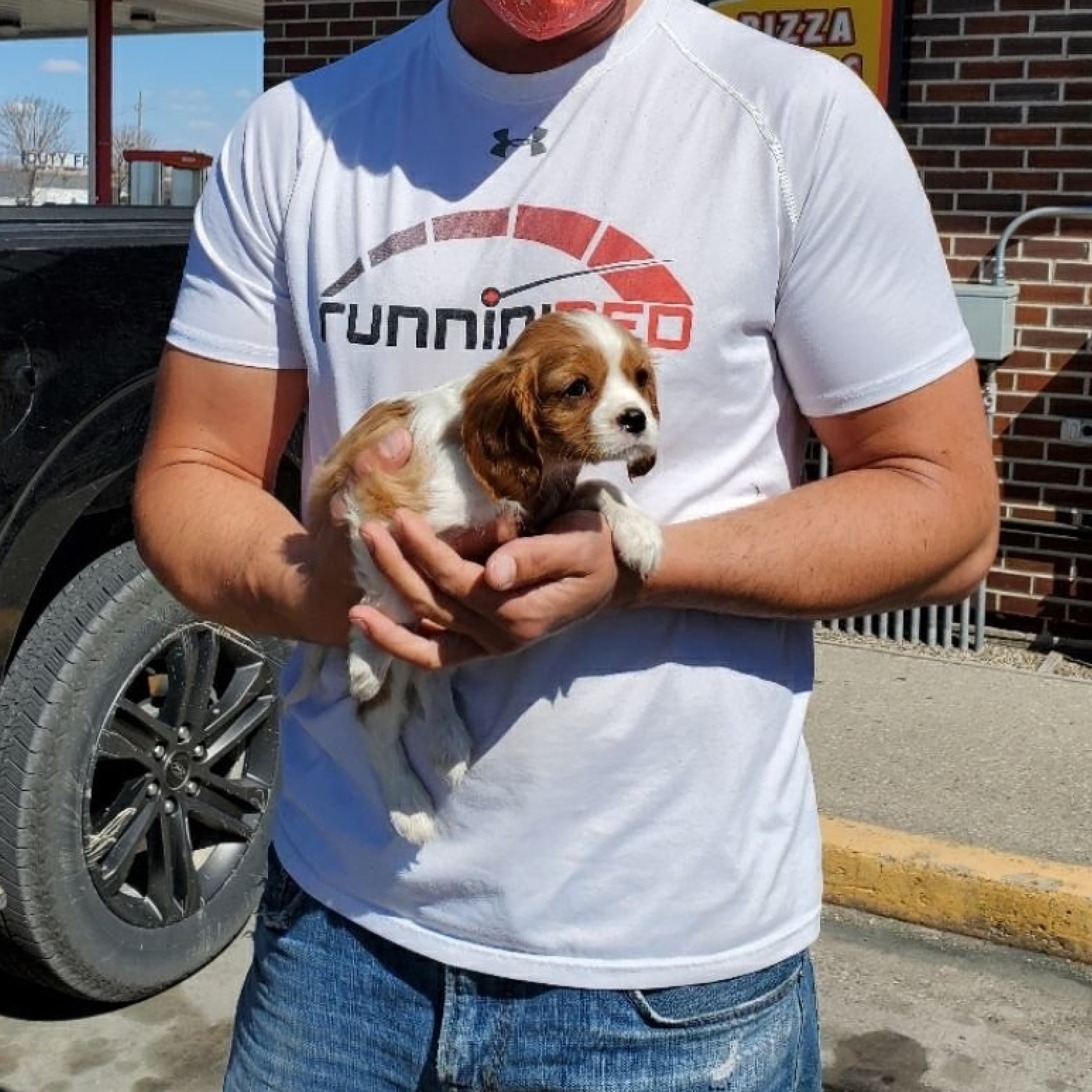 Importing animals to Canada? Let us take care of all the processes.